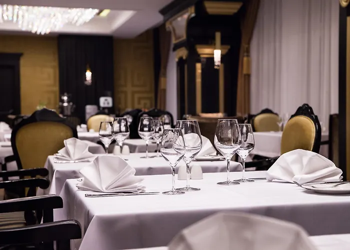 Dana Business & Conference Hotell 4*