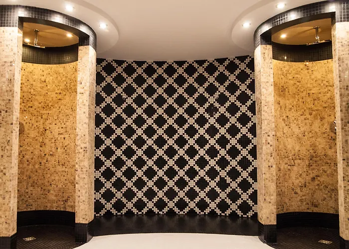 Dana Business & Conference Hotell 4*