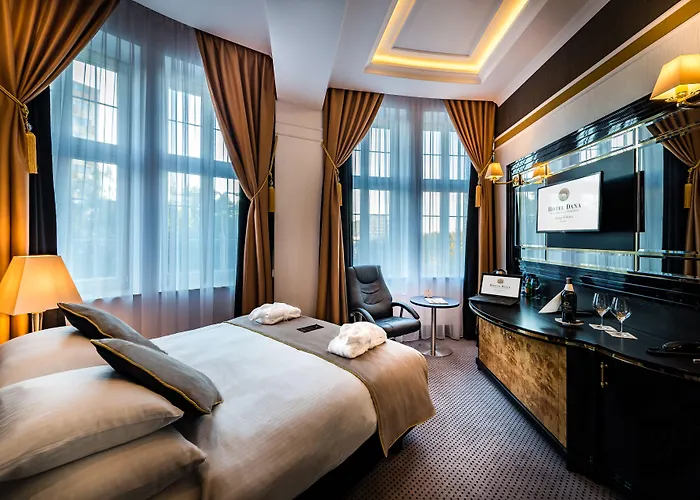 Hotel Dana Business & Conference 4*